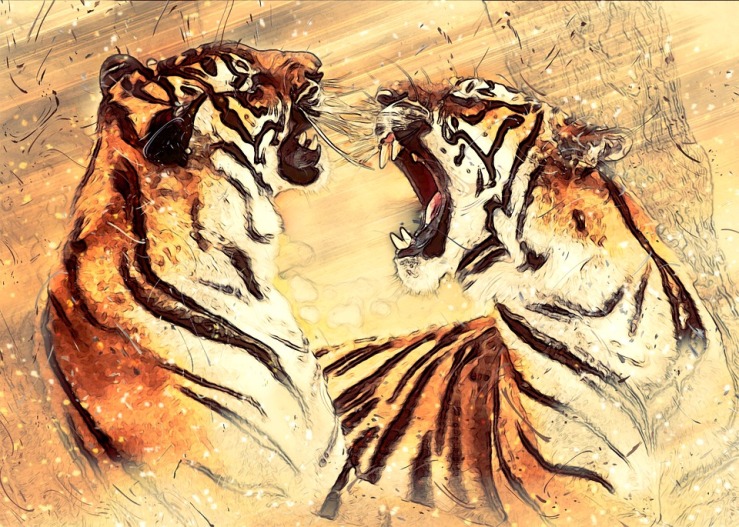 bengal-tiger-3536892_960_720